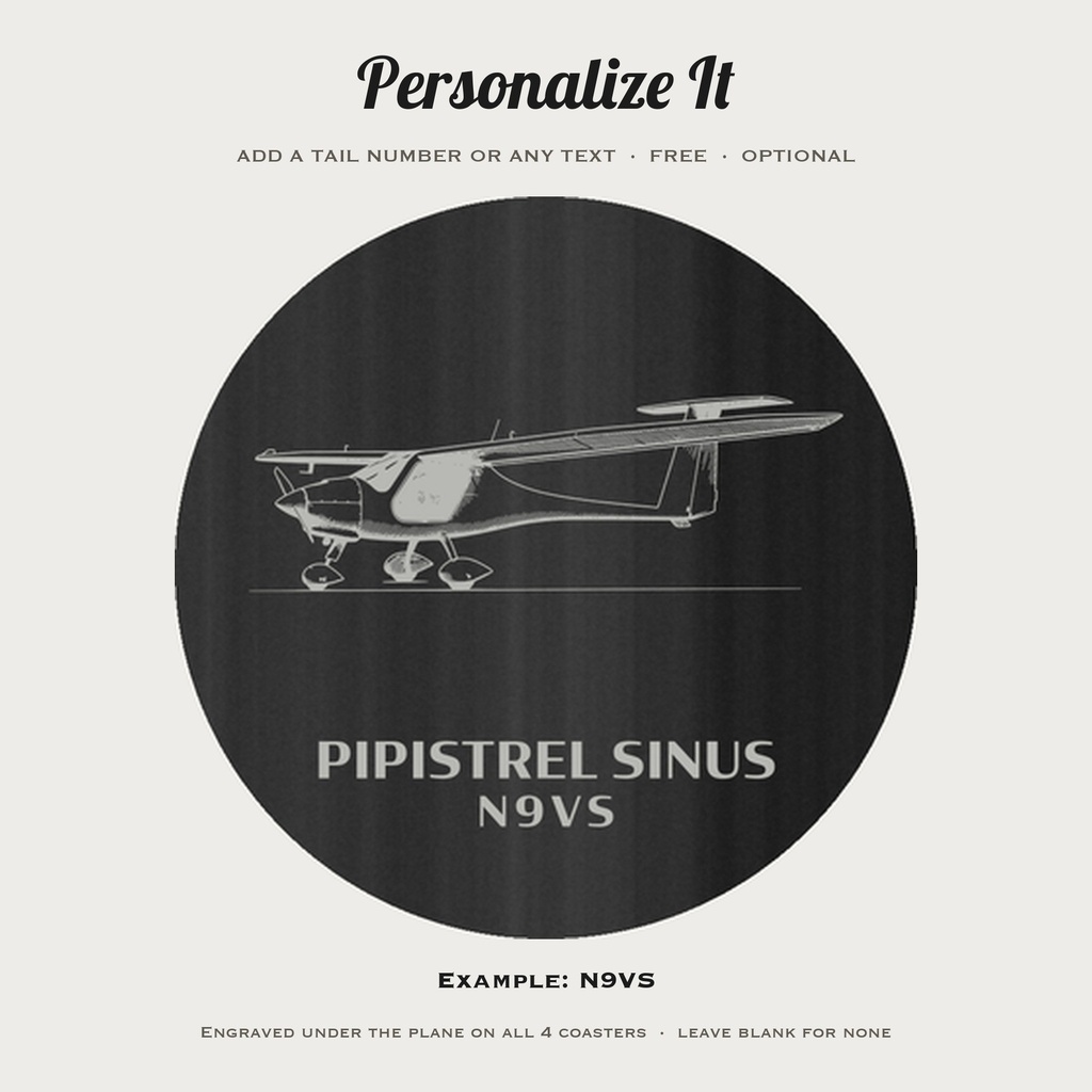 pilot Pipistrel photo 1