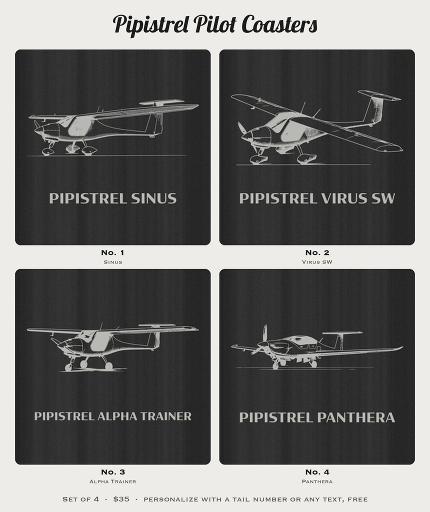 pilot Pipistrel photo 4
